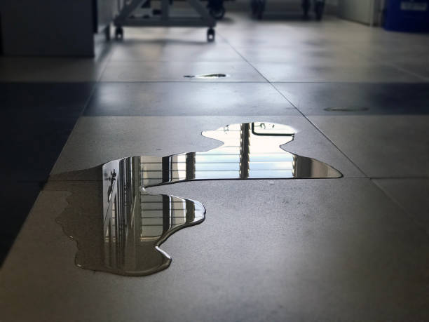 Best Water damage restoration experts  in Edgewater, CO