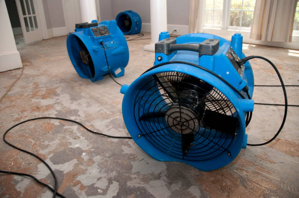 Trusted CO Water damage restoration Experts