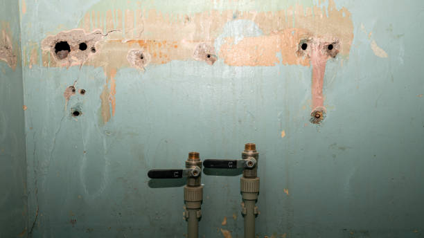 Best Flood restoration services  in Edgewater, CO