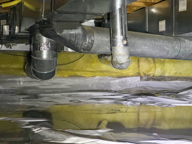 Best Commercial water damage restoration  in Edgewater, CO