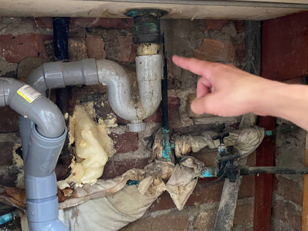 Best Water damage contractors near me  in Edgewater, CO